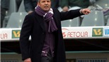 Fiorentina - Catania 2-2: Mihajlovic trong chảo dầu
